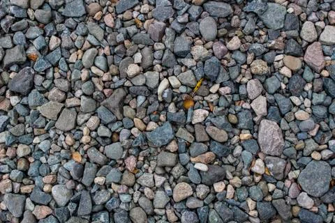 Placer of small and medium pebbles, background, texture Stock Photos