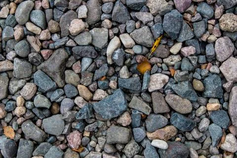 Placer of small and medium pebbles, background, texture Stock Photos
