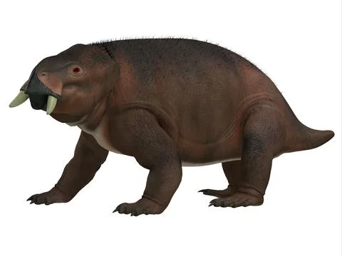 Placerias Triassic Dicynodont 스톡 일러스트