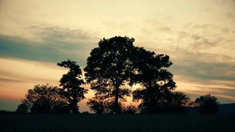 Places 03. Trees silhouetted by dramatic sky at sunset. 4K Locked Tripod Stock Footage 139523349