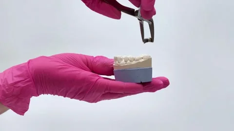Places a crown on a plaster model of the jaw using tweezers Stock Footage 333550634