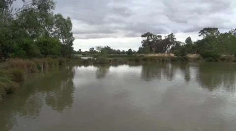 Placid pond life Stock Footage 36720124
