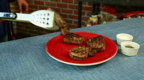 Placing Barbecue Beef on Plate Video stock 24409297