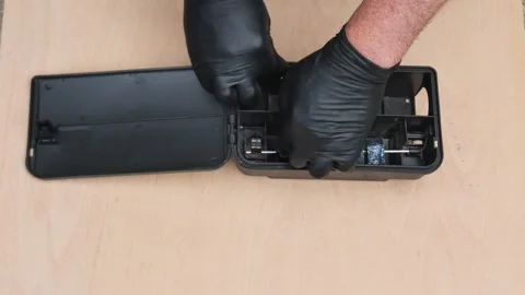 Placing blocks of rat and mice poison in a plastic bait box for pest control Vidéo 335283571