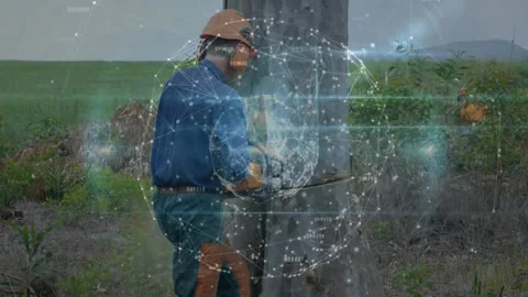 Placing chainsaw on trunk starting cut, worker cutting for tree removal while Stock Footage 331161145