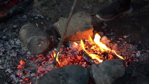Placing Chicken on the Campfire for Cooking Stock Footage 318826252