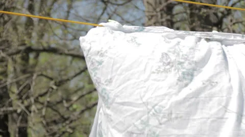 Placing Clothes Pin Vidéo 23595229