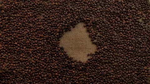 Placing cup with strong espresso on burlap fully covered with coffee beans Stock Footage 135657527