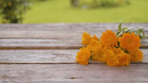 Placing down cup of calendula tea Stock Footage 137787049