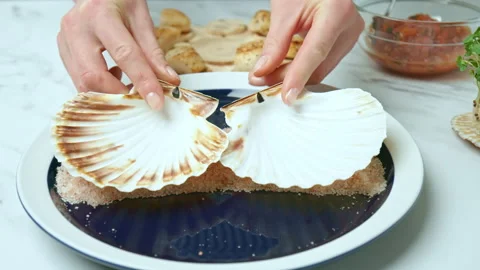 Placing empty shell into a serving plate with sea salt for serving scallops. Stock Footage 142686485