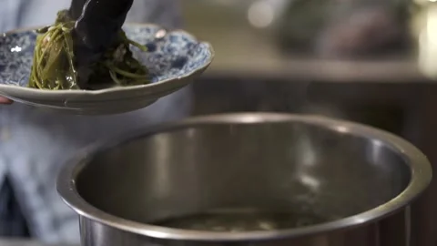 Placing food on a dish Stock Footage 145354684