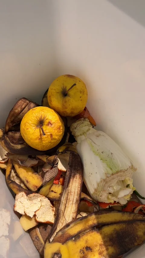 Placing food scraps into a compost bin. Stock Footage 333338060