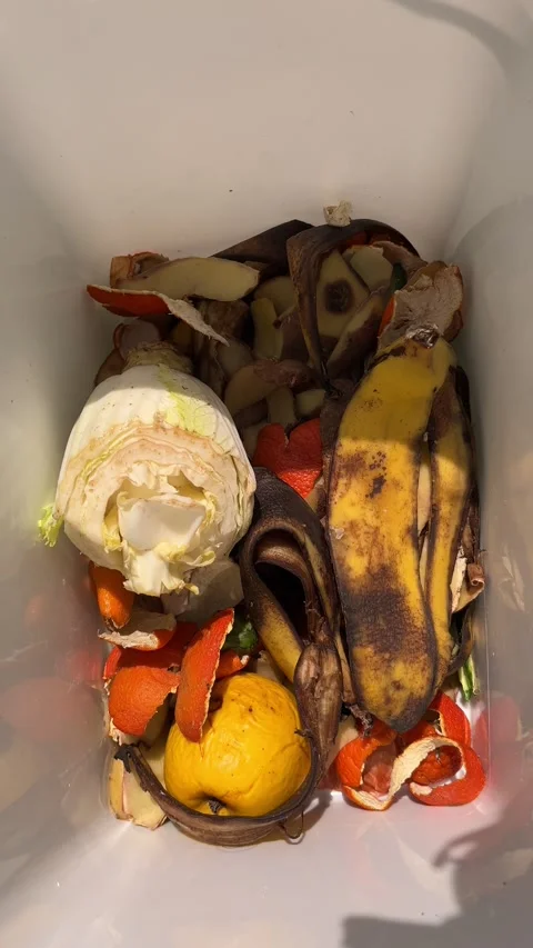 Placing food scraps into a compost bin. Stock Footage 333417629