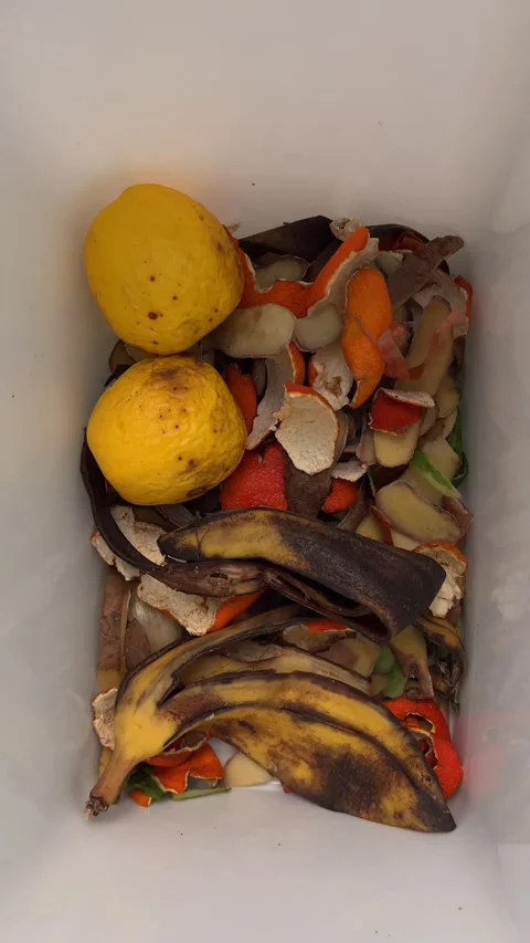 Placing food scraps into a compost bin. Stock Footage 333417636