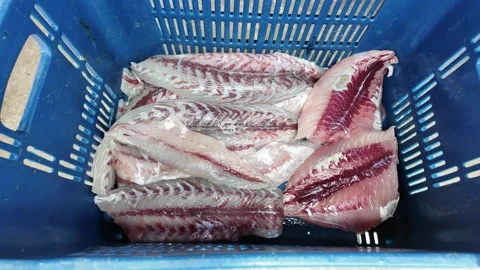 Placing Fresh Fish Fillets Into Basket for Sale Stockbeeldmateriaal 336944894