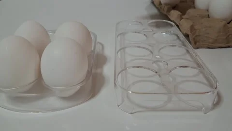 Placing fresh white eggs into transparent plastic egg holder Vídeo Stock 347445083