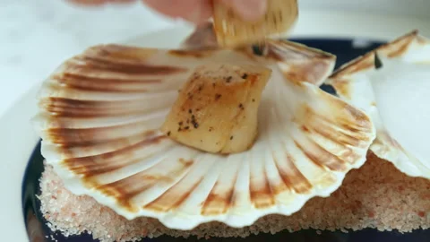 Placing freshly cooked fried scallops into a shell in a serving plate in 4K. Stock Footage 142687045
