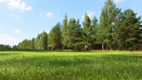 Placing golf ball on a tee. Golfer putting golf ball approach to the golf hole Video stock 166593453