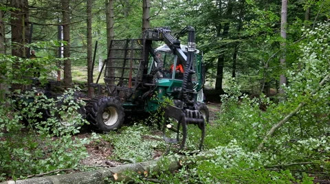 Placing the grapple and picking up a log Stock Footage 41767624