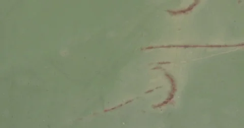 Placing John Deere Hat down Stock Footage 79864148