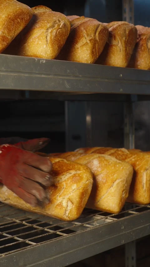 Placing Large Freshly Baked Bread on a Bakery Rack Stock Footage 345500102