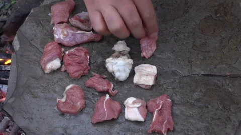 Placing Meat on Hot Stone Over Campfire Stock Footage 303661417