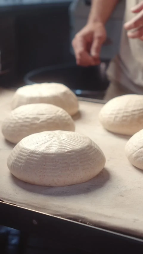 Placing Multiple Bread Dough Pieces on a Baking Board Stock Footage 344313289
