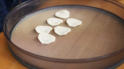 Placing parsnip slices on a drying rack Stock Footage 72508956