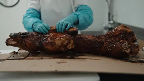 Placing roasted suckling pig on preparation surface 스톡 동영상 327516539