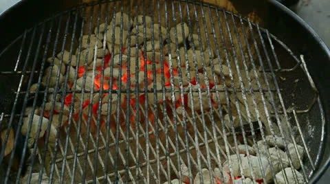 Placing Roasts On Grill Stock Footage 24410804