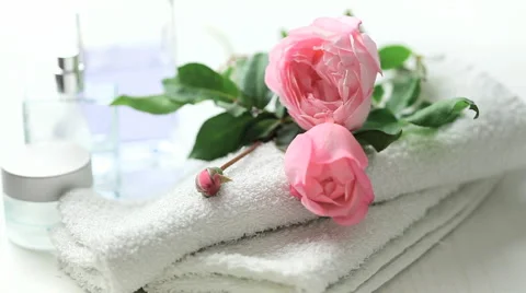 Placing rose Stock Footage 1054825