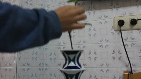 Placing a rose in a vase Stock Footage 324681992