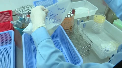 Placing Sample Bag In Blue Basket And Pipetting Sample Over The Shoulder Stock Footage 345063480