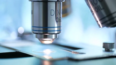 Placing a slide under lens of laboratory microscope Stock Footage 139805741