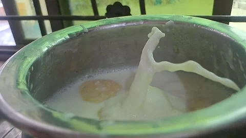 Placing Soft Ras Malai Dumplings into Creamy Saffron Milk - Slow Motion Stock Footage 317156299