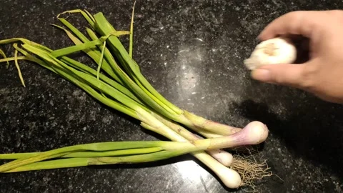 Placing spring onions, garlic, ginger and green chilies in kitchen Video stock 152262524