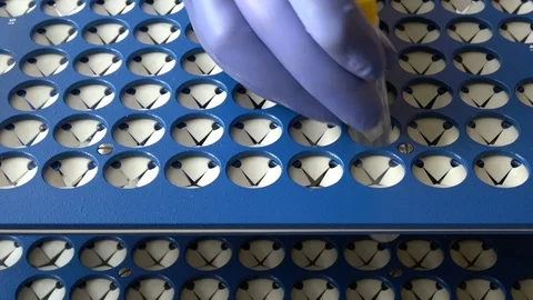 Placing test tubes in rack. Close up view of rack with test tubes. Stock Footage 123992326