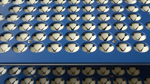 Placing test tubes in rack. Stock Footage 124067070