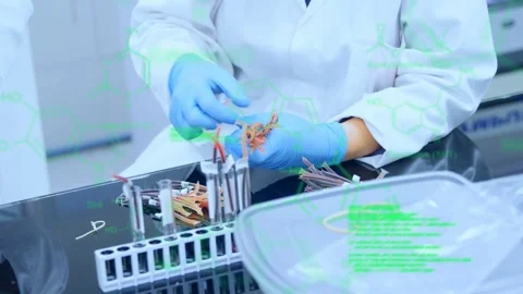 Placing tube rack, lab tech grouping orange fragments and placing bundles into Stock Footage 335234992
