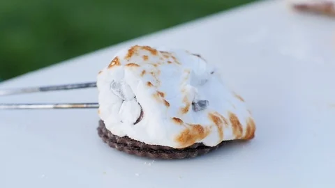 Placing white marshmallow between two graham crackers Video stock 106625156