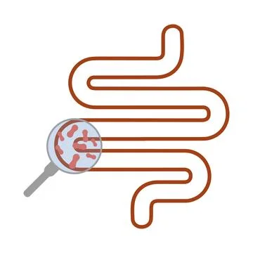 PLactobacillus probiotics icon. Normal gram-positive anaerobic microflora sign. Stock Illustration
