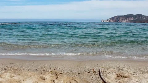 Plagemesu1 動画素材 130956504