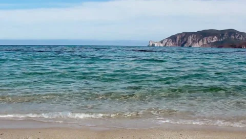 Plagemesu2 動画素材 130956506