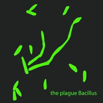 Plague Bacillus under a microscope, plague, viruses and bacteria isolated on Stock Illustration
