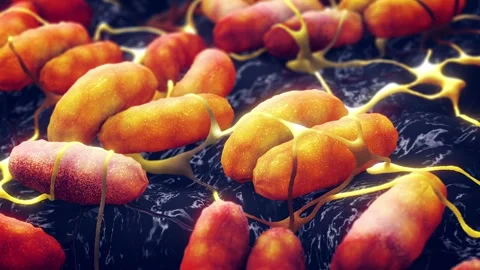 Plague bacteria Stock Footage 282170276