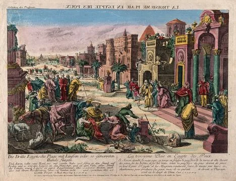 The plague of lice. Coloured etching. Stock Illustration
