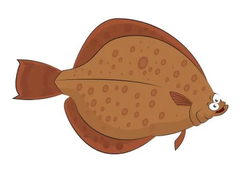Plaice Stock Illustration