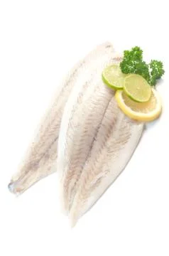 Plaice Stock Photos