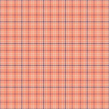 Plaid bundle built for product mockups. Fashion tartan backgrounds enhance .. Stock Illustration