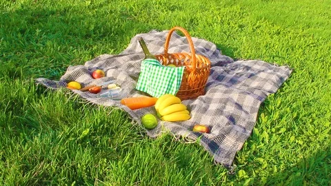 Plaid for a picnic on the grass. Stock Footage 88671267